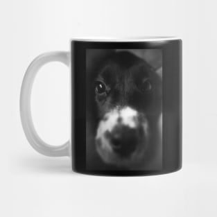 Poppy (Portrait) Mug